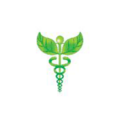 برنامه نویس (Laravel) PHP - باغ داروی سبز سلامت گستر پنجاه چهل