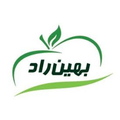 بهین راد نیک اندیش